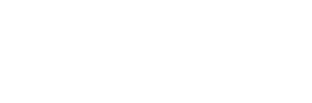 Vibrant BPO Logo White Web